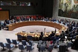 Nga, Mỹ bất đồng nghiêm trọng tại Hội đồng Bảo an về tình hình Iran 